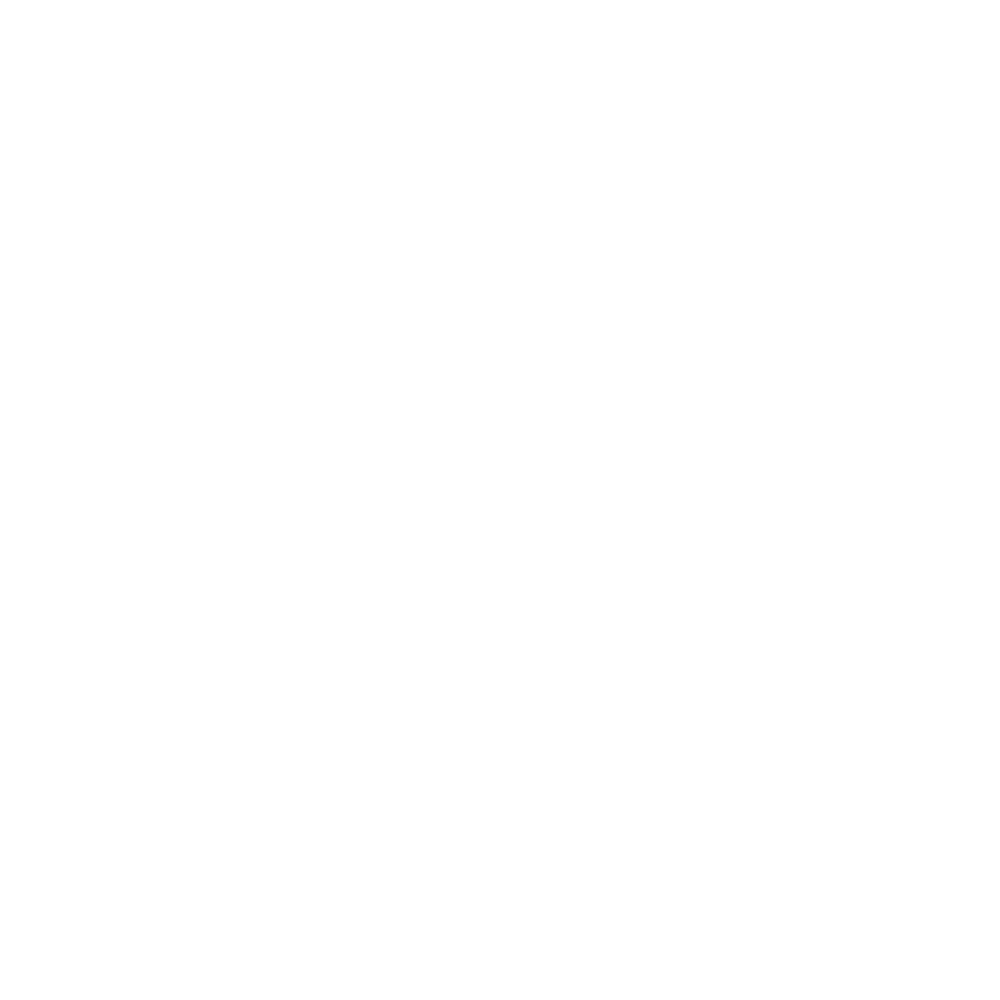 Search Icon