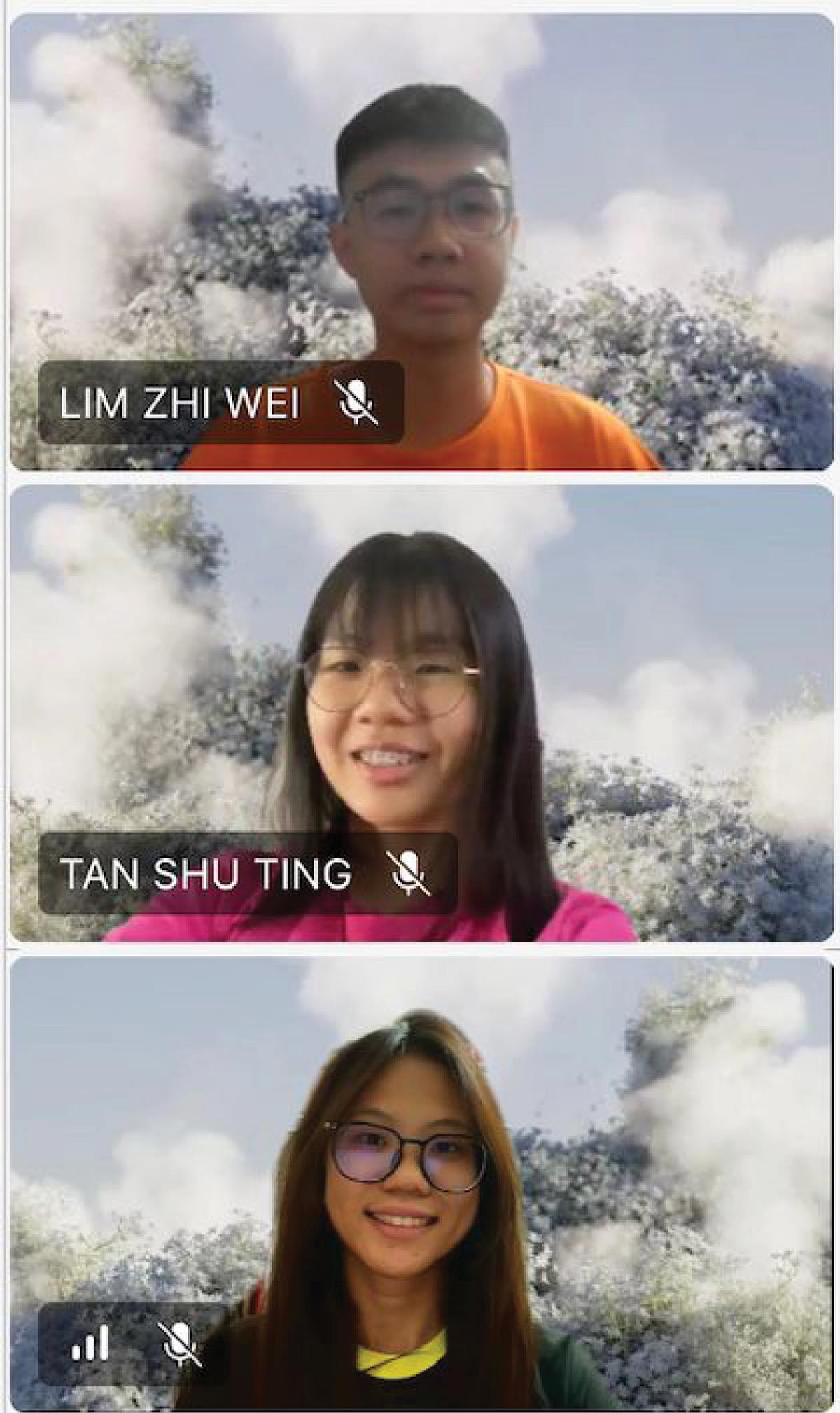 Pua Xin Yee, Tan Shu Ting, Lim Zhi Wei, University of Malaya, Malaysia