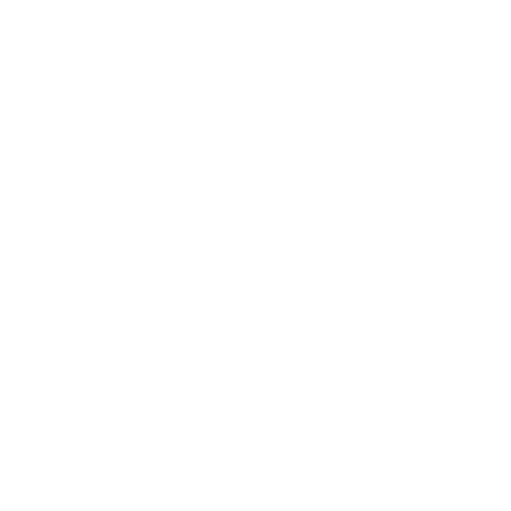 Download Icon